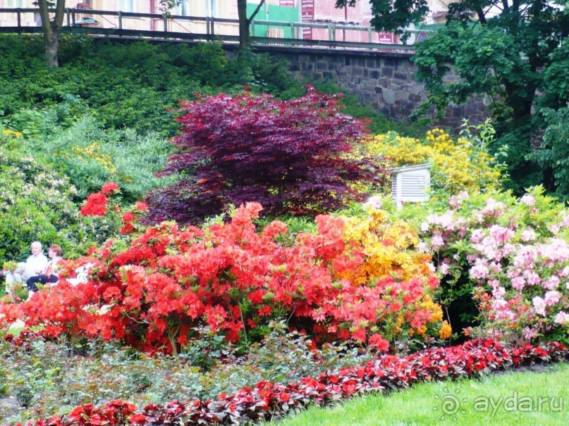 Цветущий май в КВ.