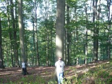 Гуляем в Карловарском лесу