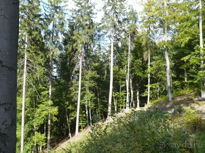 Моя любовь - Карловы Вары. Часть 3.