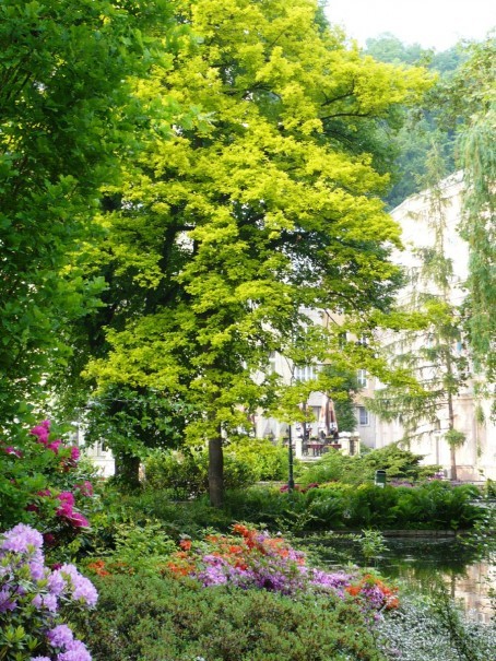 Моя любовь - Карловы Вары. Часть 3.