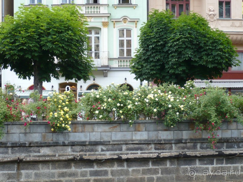 Цветущий май в КВ.