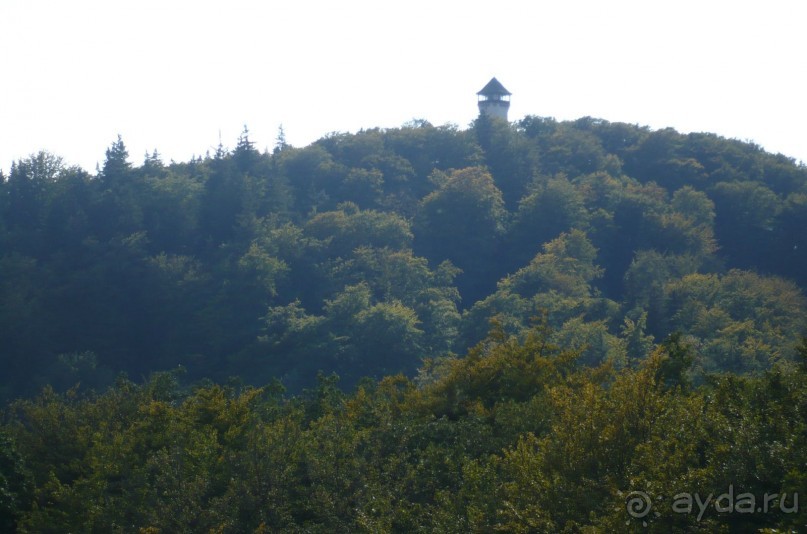 Смотровая башня Диана