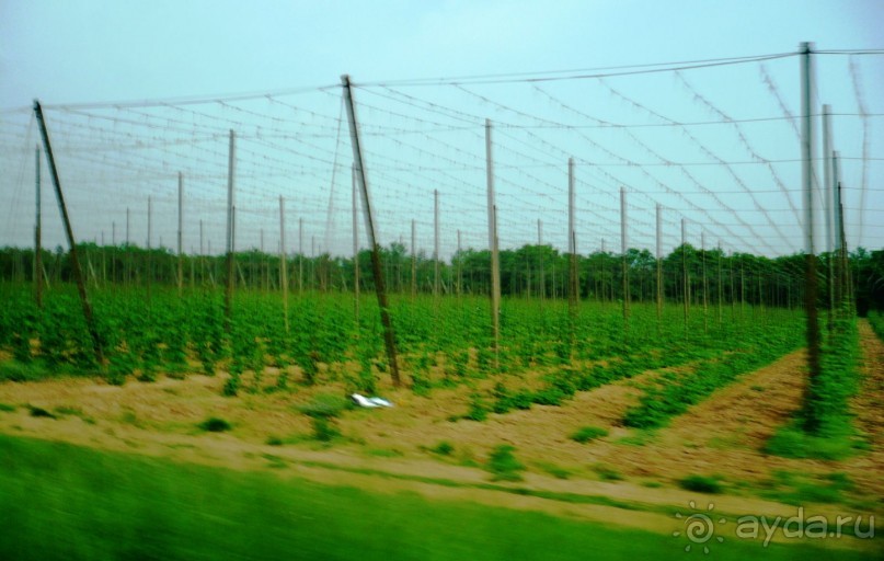 Моя любовь - Карловы Вары. Часть 3.