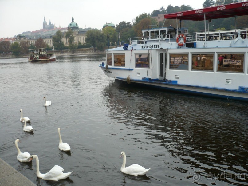 Покатались мы на теплоходике по красавице Влтаве.