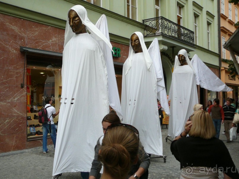 А вокруг столько ещё всего забавного и интересного.
