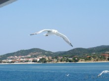 Люблю морские прогулки. Синие море и небо, белые чайки, красивые виды. Теплый ветерок обдувает. Чайки наглючие такие, высматривают на лету, нет ли чего поживиться.