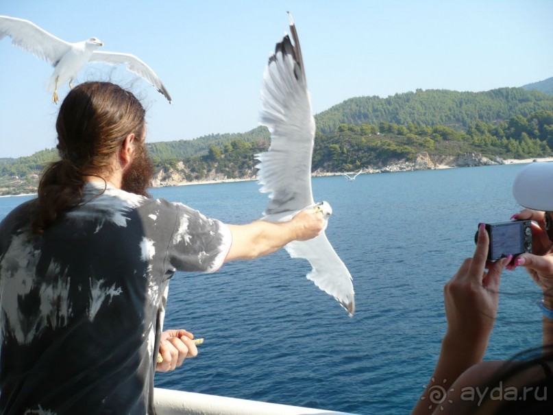 Ага, нашла. Мужчина монашеского вида (может быть это паломник?) кормит их прямо с рук.