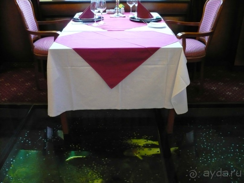 Еще хочу показать одну достопримечательность во Франтишковых Лазнях. Здесь есть ресторан, под стеклянным полом которого находится огромный аквариум. Тут плавают желтые японские карпы. Вид очень необычный.