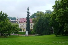 Посмотрите, какая елка замечательная выросла.