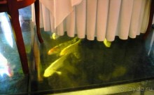 Чешский курортный треугольник