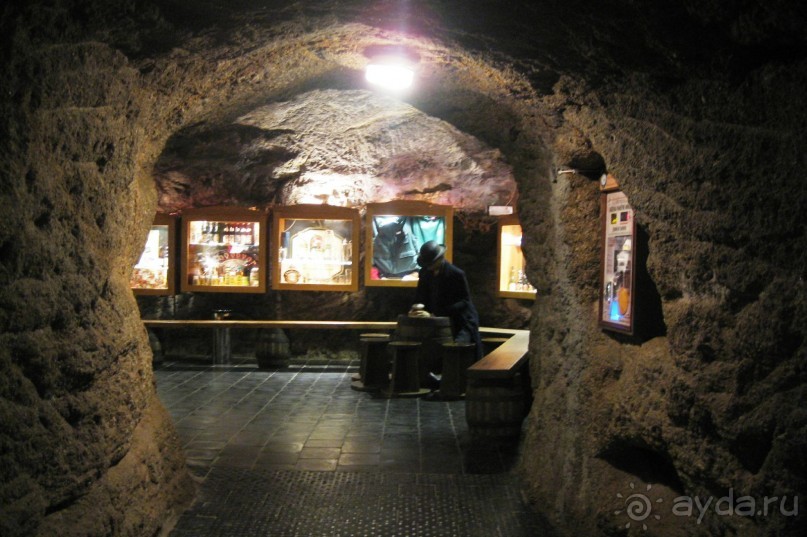 Дальше упираемся в небольшой выставочный зал, где в витринах можно посмотреть продукцию данного пивоваренного завода.