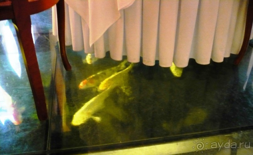 Чешский курортный треугольник