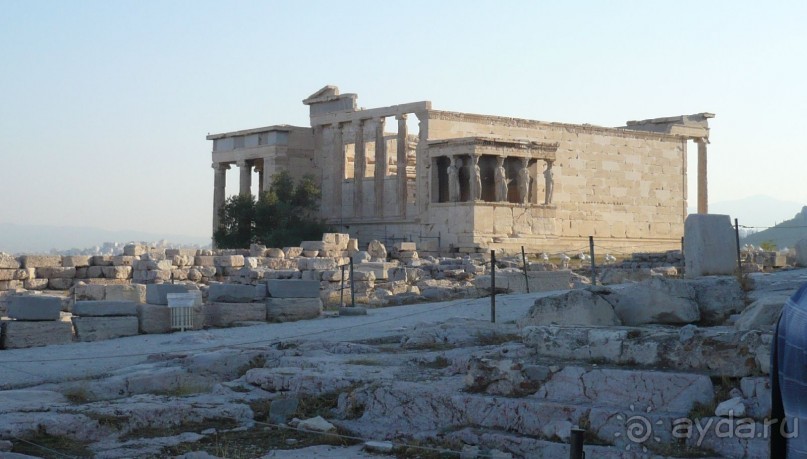 Храм Эрехтейон в Акрооле. Перед ним олива Афины.
