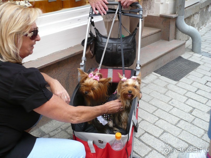  Это тоже отдыхающие