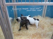 Париж, Париж....