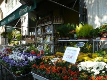 Посетив остров Ситэ, мы снова отправились к Лувру, чтобы зайти уже непосредственно в музей. Мы прошлись по невероятно красивой улочке. К сожалению, не запомнила название. На ней полно цветочных лавок.

