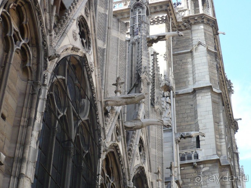 А где же знаменитые Гаркульи и Химеры на стенах собора. Да вот они. Вернее, это только Гаркульи, служащие дождевыми стоками, а химер я не сфотографировала.