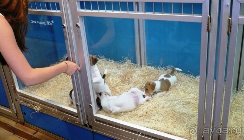 Париж, Париж....