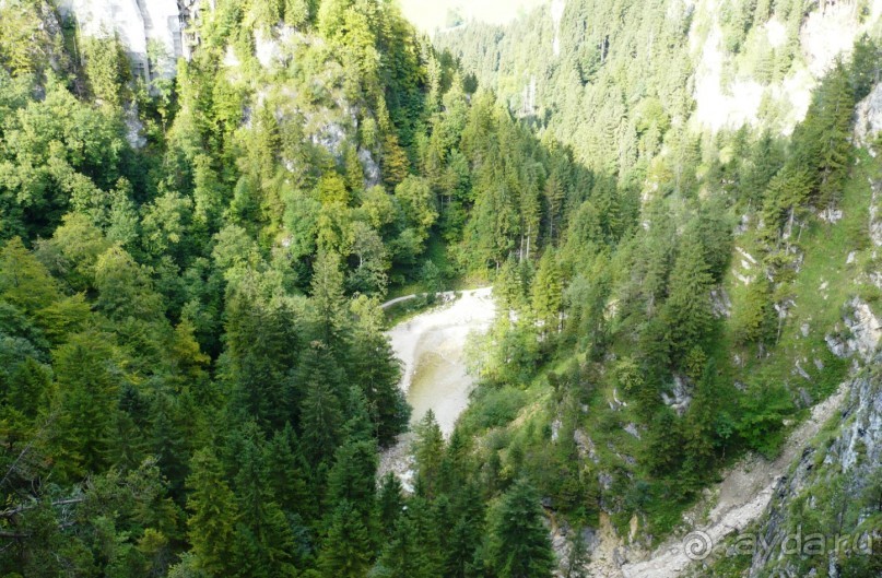 Вид с моста