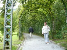 Аллея любви.