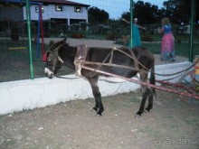 Альбом рассказа "Болгарская деревня"