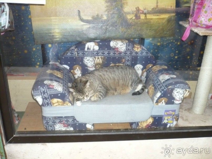 Моё путешествие из КВ в Италию. Продолжение.