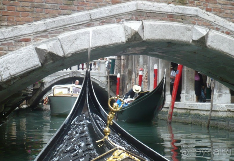Они так виртуозно разъезжаются на этих узких каналах. Вот мы пропускаем катер. Гондольеры прижались к стенкам и катер спокойно проехал. При этом расстояние между бортами было не более 5 см. Но ни разу никто никого не задел. Вот это мастерство!