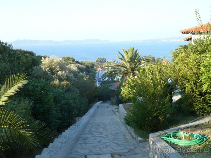 По этой дорожке я ходила к бассейну и на море