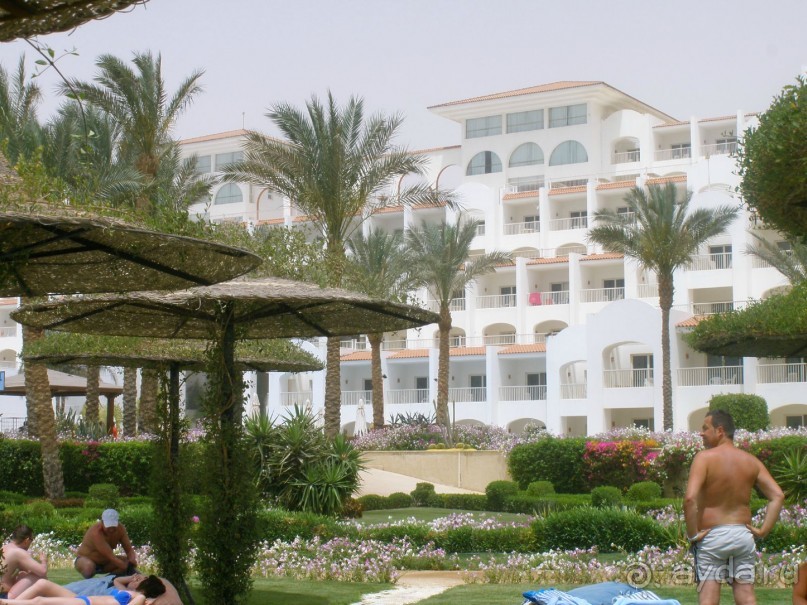 фото Siva Sharm Resort & Spa