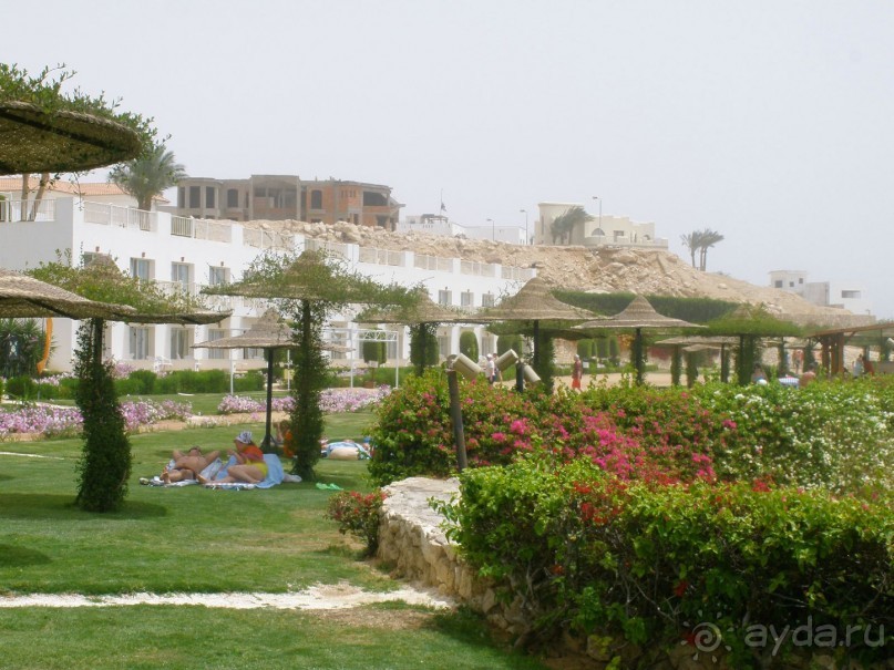 фото Siva Sharm Resort & Spa