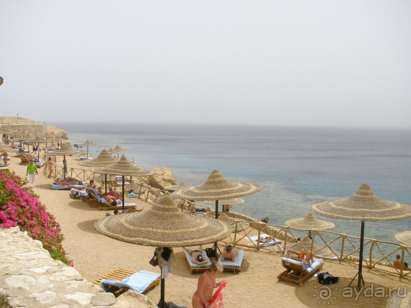 фото Siva Sharm Resort & Spa