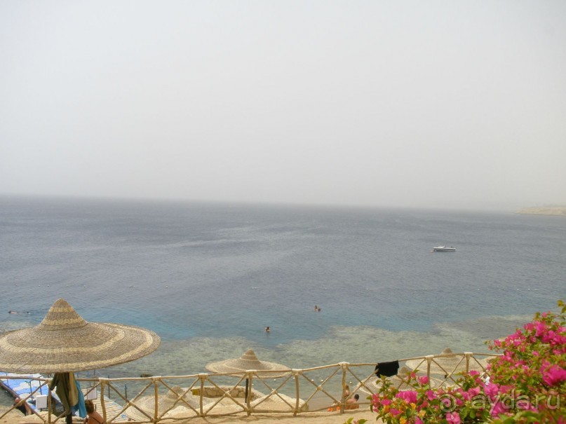 фото Siva Sharm Resort & Spa