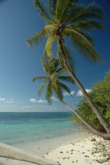Заметки путешественника. Мальдивы.