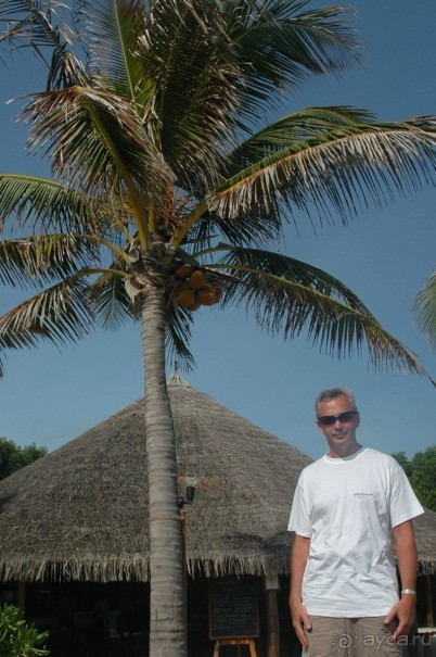 Заметки путешественника. Мальдивы.