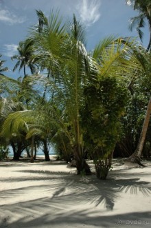 Заметки путешественника. Мальдивы.