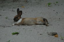 Заметки путешественника. Мальдивы.