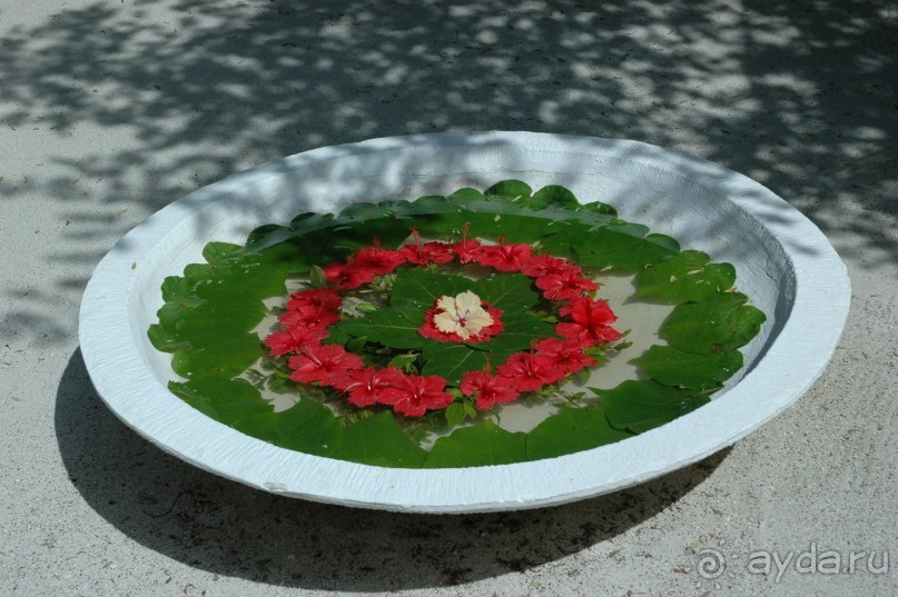 Заметки путешественника. Мальдивы.