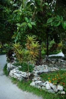 Заметки путешественника. Мальдивы.