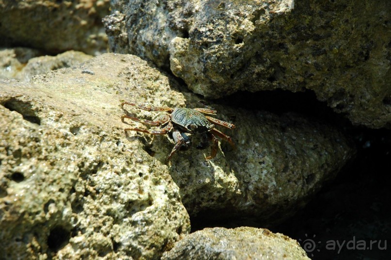 Заметки путешественника. Мальдивы.