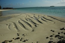 Заметки путешественника. Мальдивы.