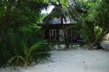 Заметки путешественника. Мальдивы.