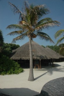 Заметки путешественника. Мальдивы.