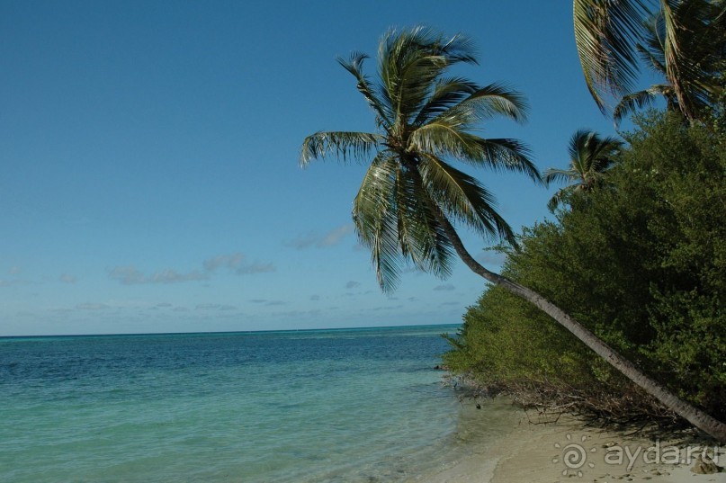 Заметки путешественника. Мальдивы.