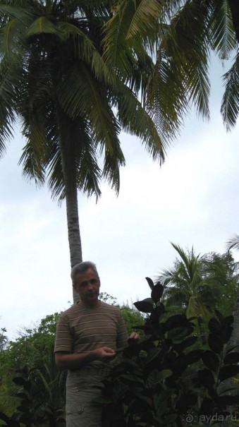 Заметки путешественника. Мальдивы.