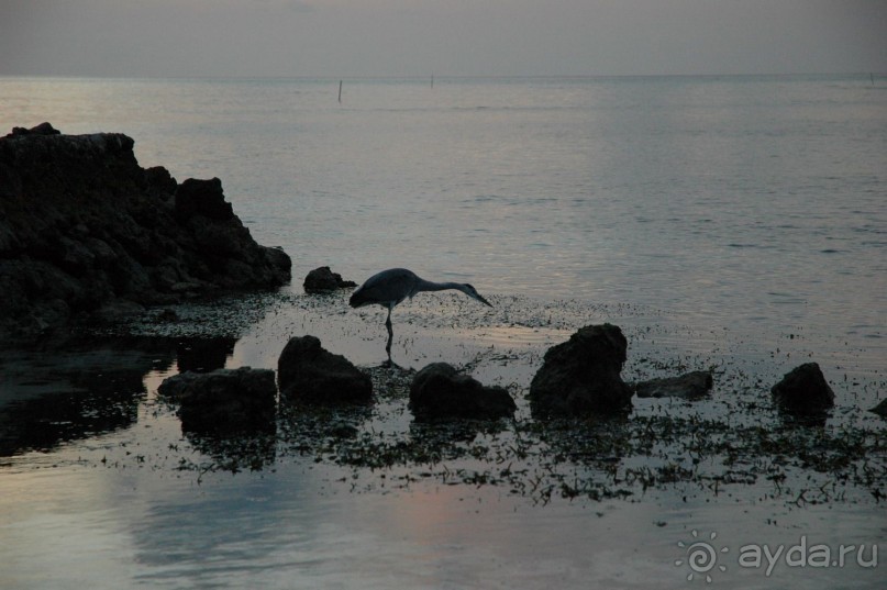 Заметки путешественника. Мальдивы.