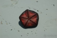 Заметки путешественника. Мальдивы.