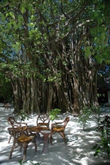 Заметки путешественника. Мальдивы.