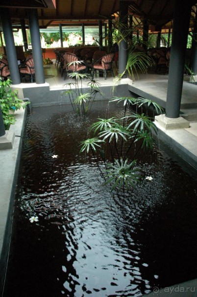 Заметки путешественника. Мальдивы.