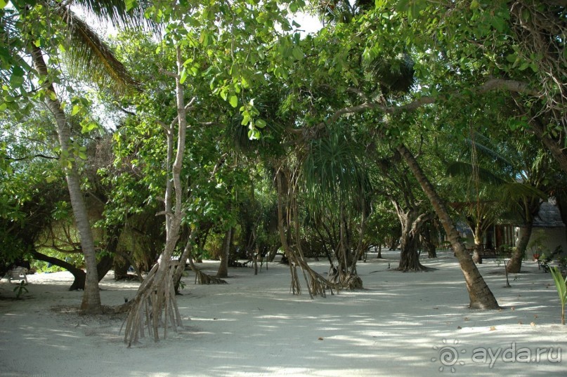 Заметки путешественника. Мальдивы.