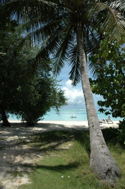 Заметки путешественника. Мальдивы.